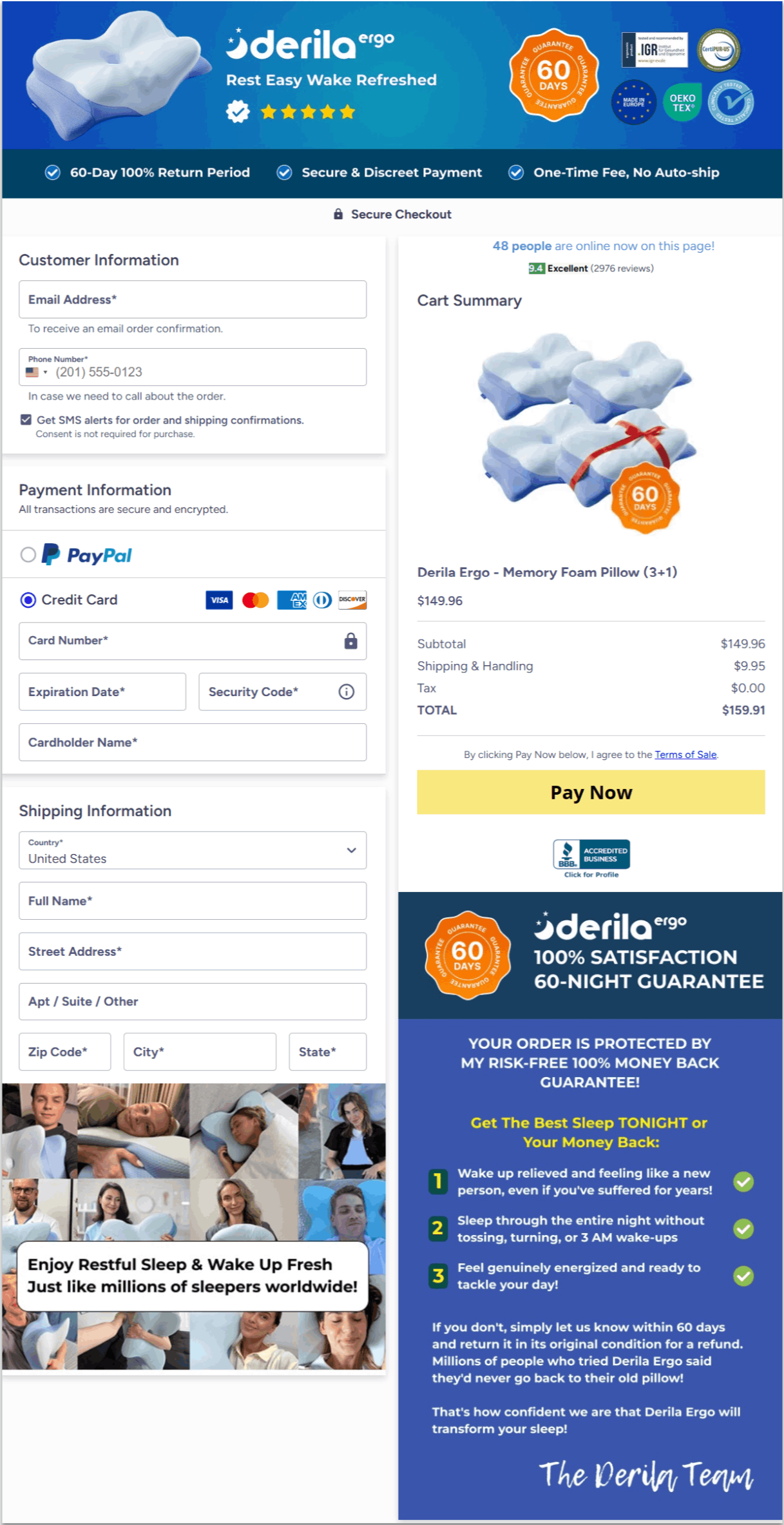 Derila Ergo Pillow Secure Checkout Page